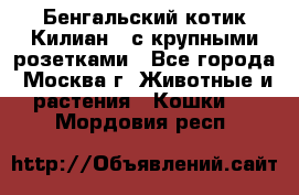 Бенгальский котик Килиан , с крупными розетками - Все города, Москва г. Животные и растения » Кошки   . Мордовия респ.